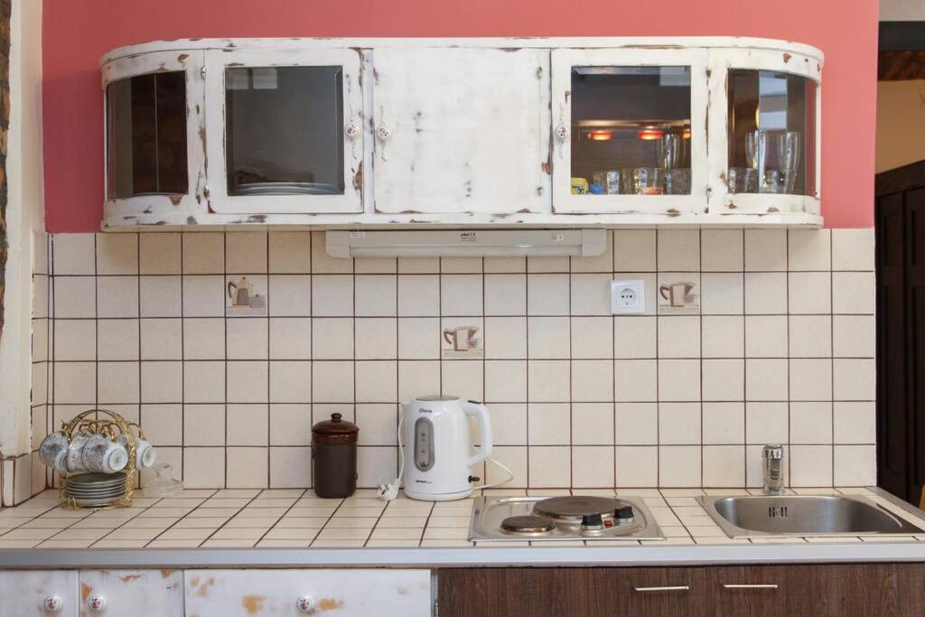 Apartmán Hidden Gem On Prime Location Bělehrad Exteriér fotografie